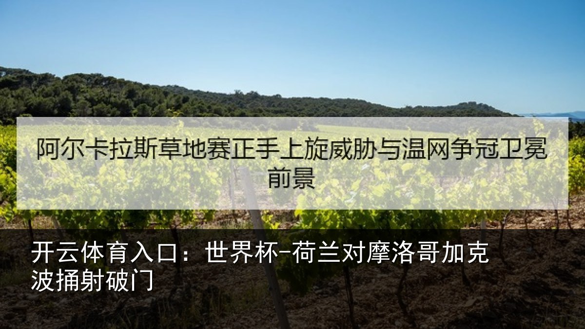 开云体育入口：世界杯-荷兰对摩洛哥加克波捅射破门