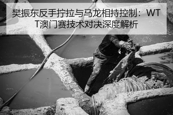 fan-zhen-dong-fan-shou-ning-la-yu-ma-long-xiang-chi-kong-zhi-ao-men-sai-ji-shu-dui-jue-shen-du-jie-xi-3-799.jpg
