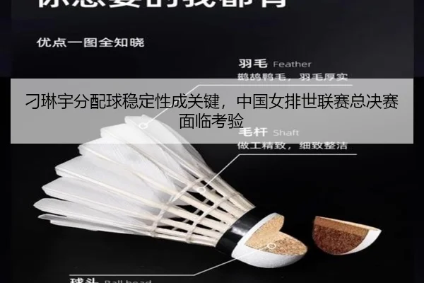 刁琳宇分配球稳定性成关键，中国女排世联赛总决赛面临考验