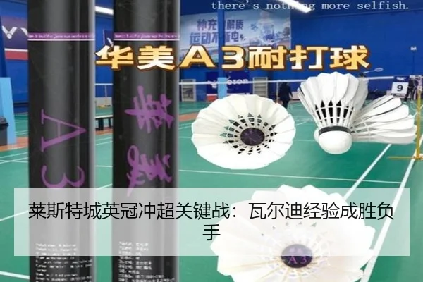 莱斯特城英冠冲超关键战：瓦尔迪经验成胜负手